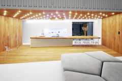 Významným architektonickým prvkom a šperkom domu, tak z hľadiska funkčného, ako aj estetického, je osvetlenie. Prináša nielen dostatok svetla v žiadanom množstve a intenzite, ale aj emócie. V celom interiéri ide o autorské riešenie, všetky svietidlá navrhli a vyrobili na mieru