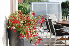 Pri dome je umiestnená terasa s jedálenským stolom, ktorá je spojená s odpočinkovou plochou pri bazéne