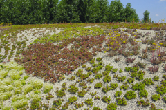 Multifunkčný sklad so zastrešenou pergolou. zelená strecha s extenzívnym strešným substrátom, na šikmej časti  priamo na ochrannej vrstve, na rovnej časti na filtračnej vrstve – 2. miesto v súťaži zelené strechy 2017 (ACRE)
