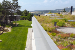 Trávobylinná pobytová zelená strecha na rodinnom dome opticky aj sortimentom nadväzuje na riešenie záhrady. získala 1. miesto v súťaži zelené strechy 2017 (záhradná architektúra Kurz)