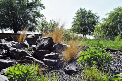 Skalnaté stepné partie nájdete v blízkosti domu, samostatné nášľapné kamene v záhonoch a na cestách