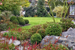 Tvarovanie vetiev pomocou laniek pomáha drevinám v raste. Bordovo sfarbený stavikrv vypĺňa škáry medzi kameňmi