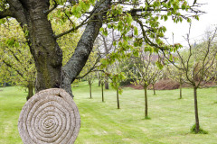 Pôvodné stromy v ovocnom sade nechávajú majitelia dožiť a postupne ich dopĺňajú novými odrodami. Úroda bude o to bohatšia